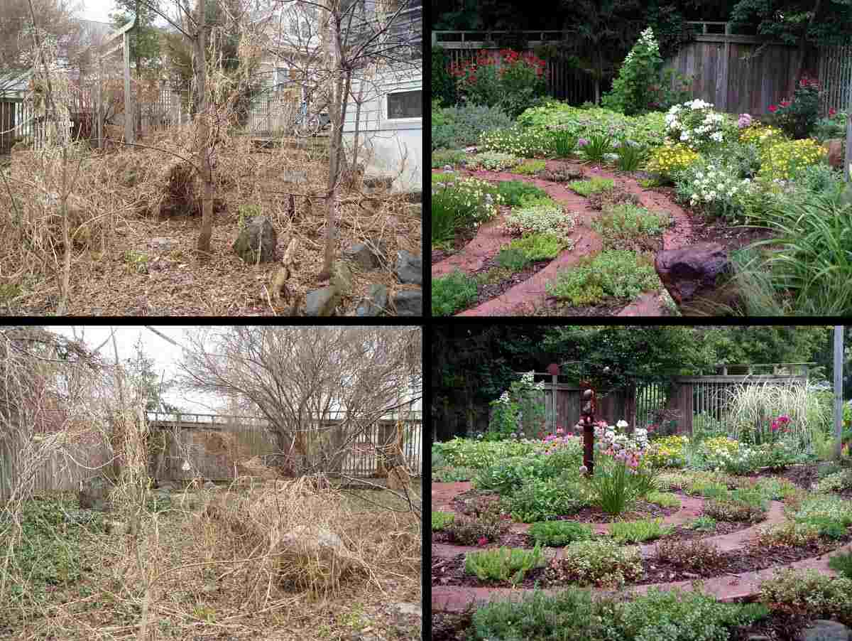 Verwilderter Garten - Vorher und nachher Idee