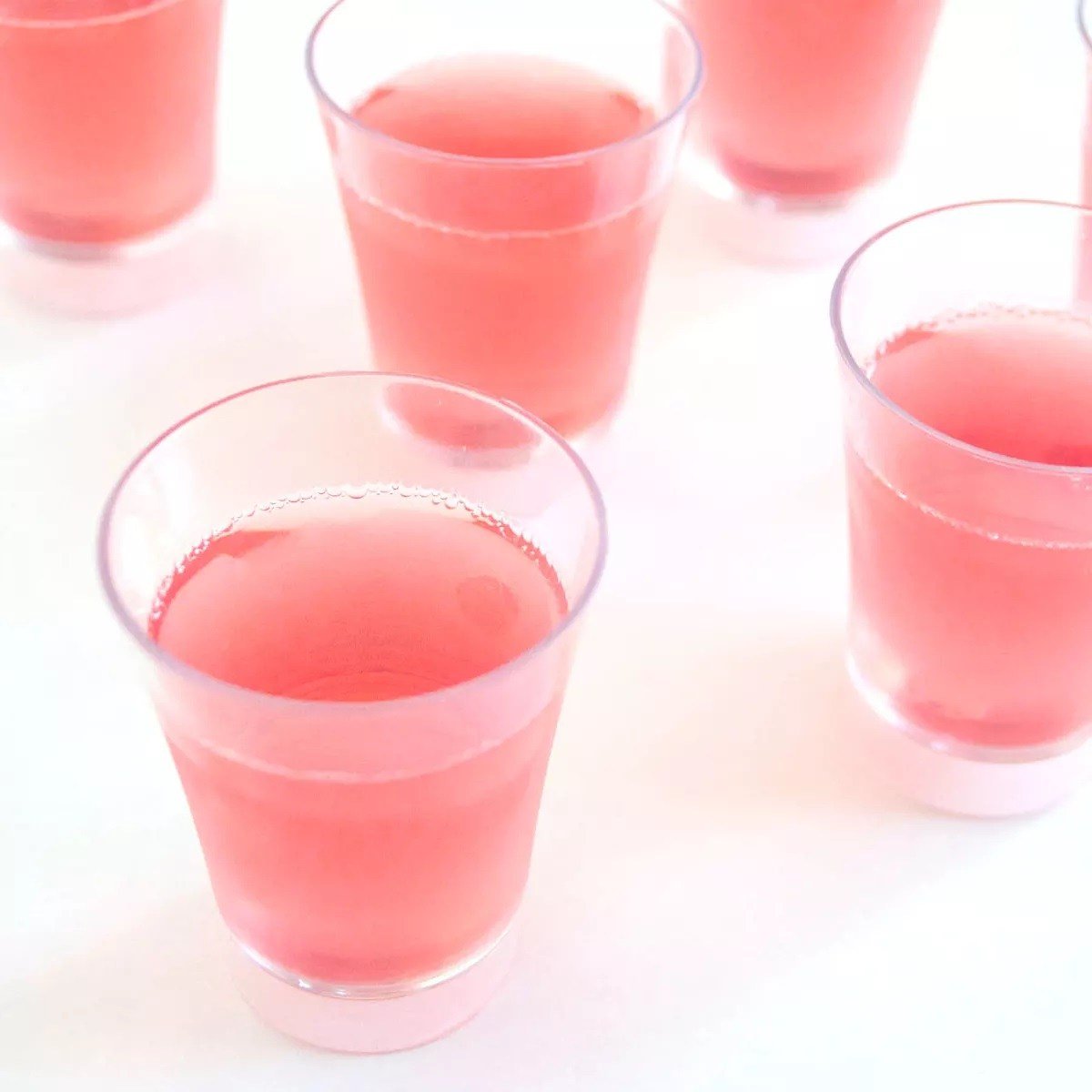 Wackelpudding aus Wassermelone und Sekt für rosa Shots