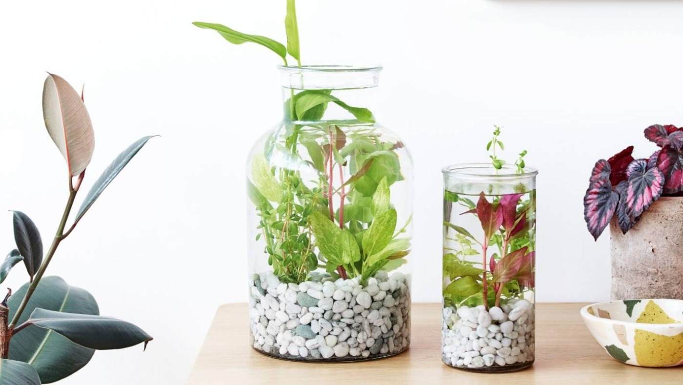 dekorative aquarien für innenraum mit kies und bepflanzung
