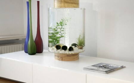 rundes süßwasseraquarium mit filter und pflanzen bällen im wohnzimmer