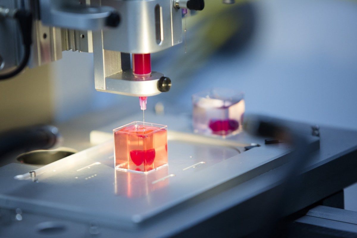 3d-bioprinting process Heart-rearing stem cells