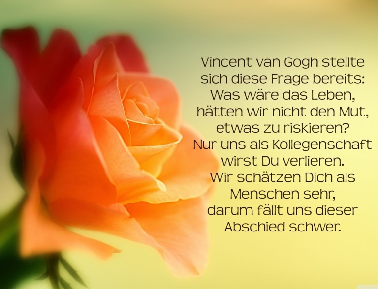 Spruch zum Abschied von Kollege bei Arbeitswechsel mit Zitat von van Gogh un orange Rose
