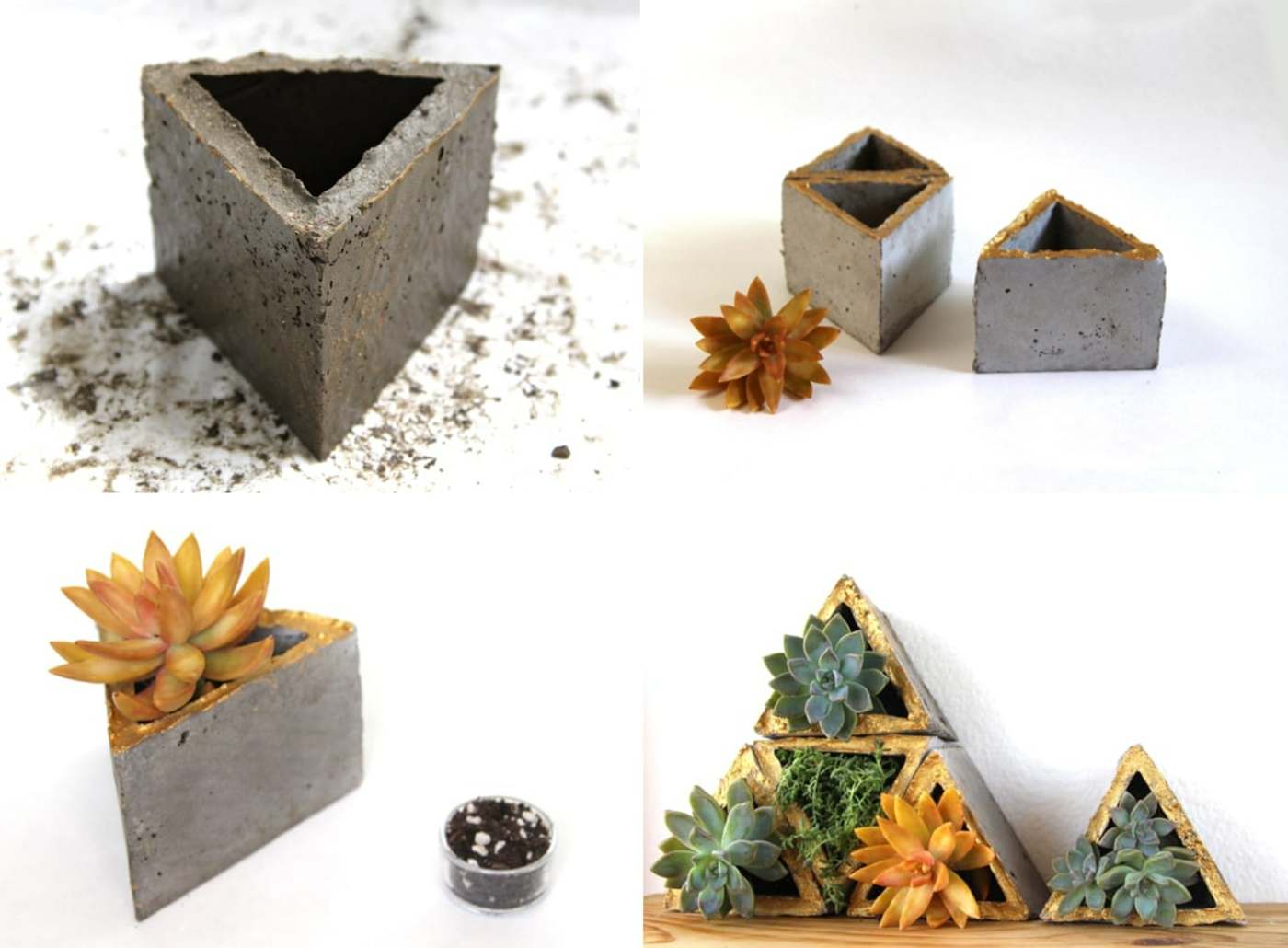 Assemble vertical gardens with small pyramids with succulents