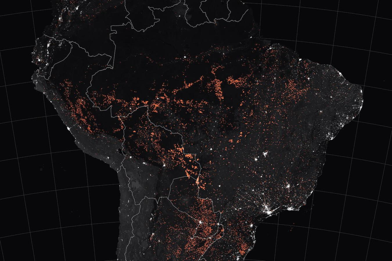 Waldbrände in Brasilien