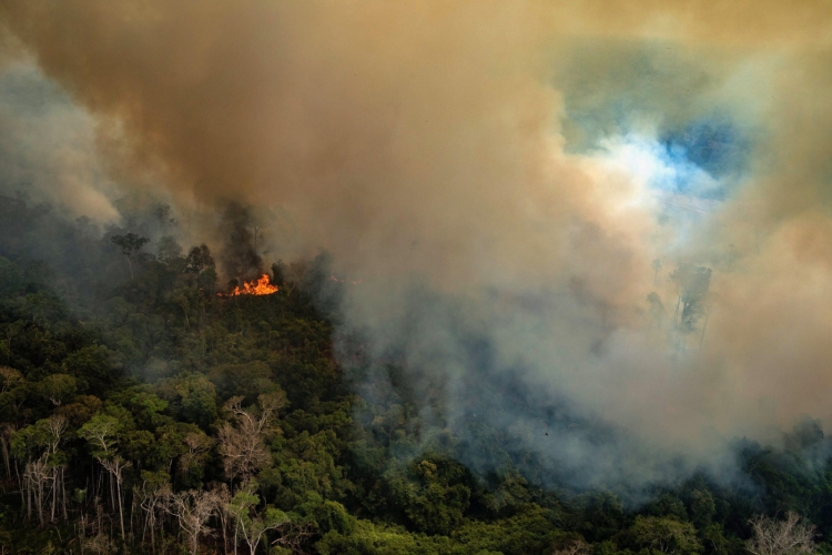 Waldbrände in Brasilien