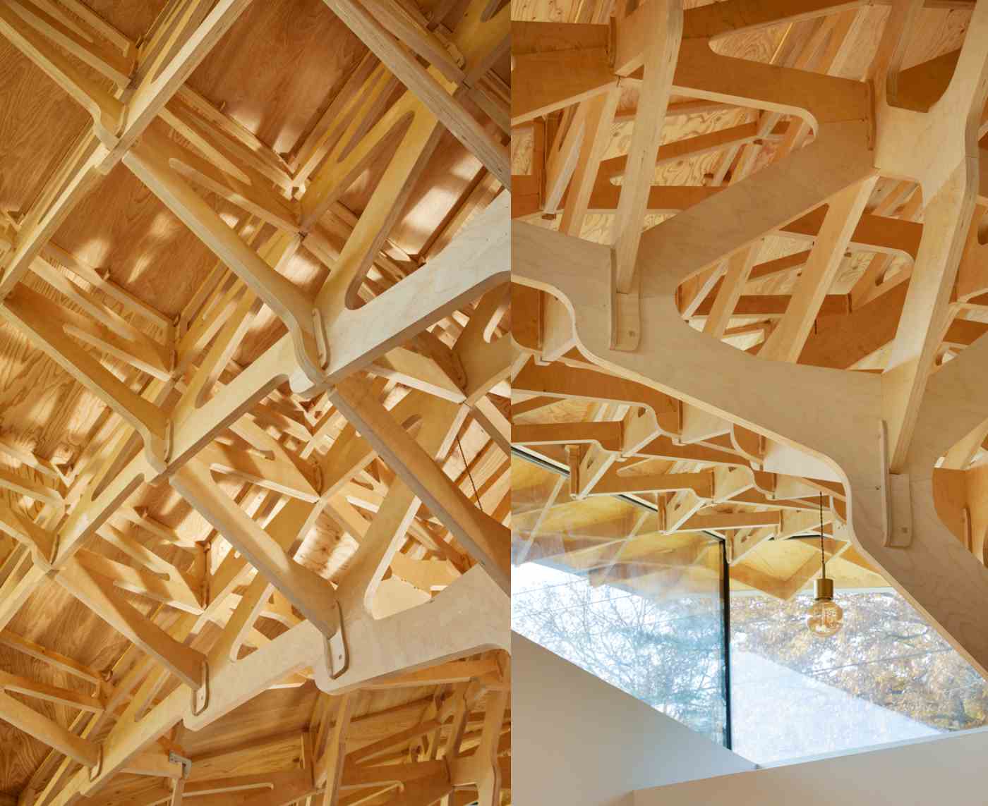 suspended timber roof skylights glass interior architecture