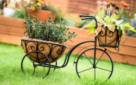 chinesische schneeball pflanze für die ganzjährige gartenbepflanzung verwenden