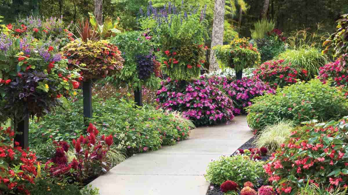colorful landscaping with tall and low-lying plants on the garden path