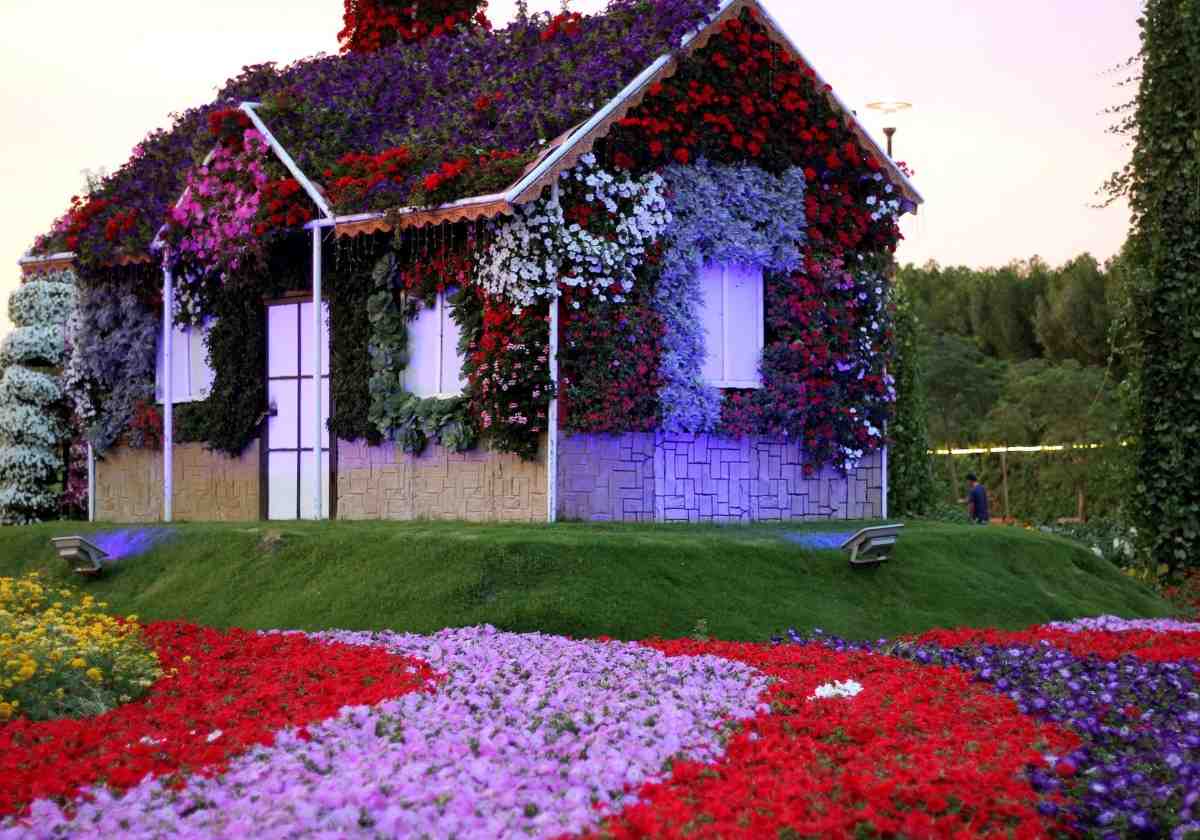 magical garden with house covered with flowers