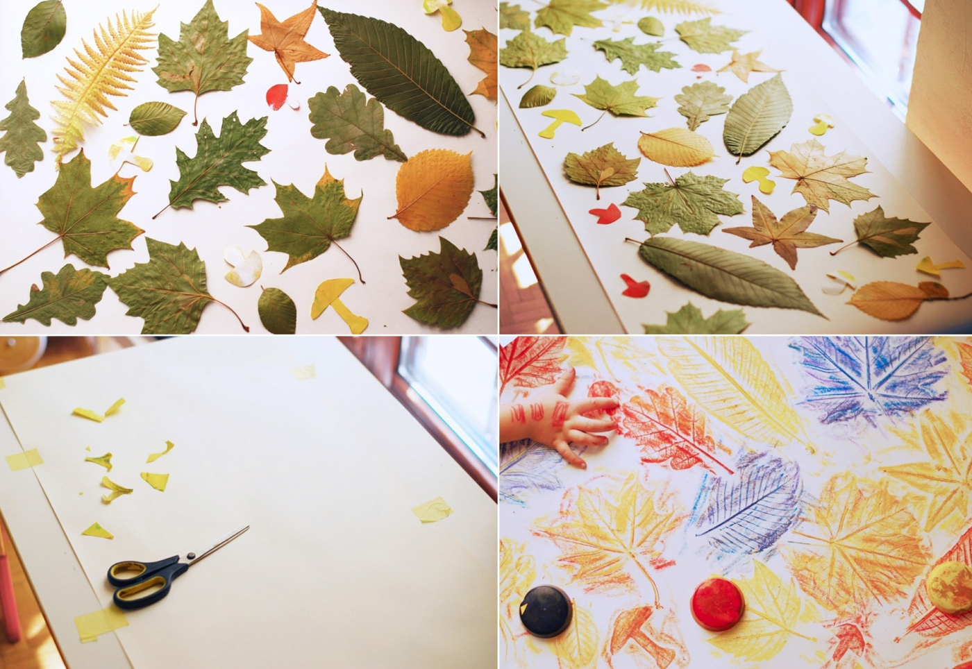 Herbst Bilder Malen Leicht:  Drawing Autumn Fun for Kids!