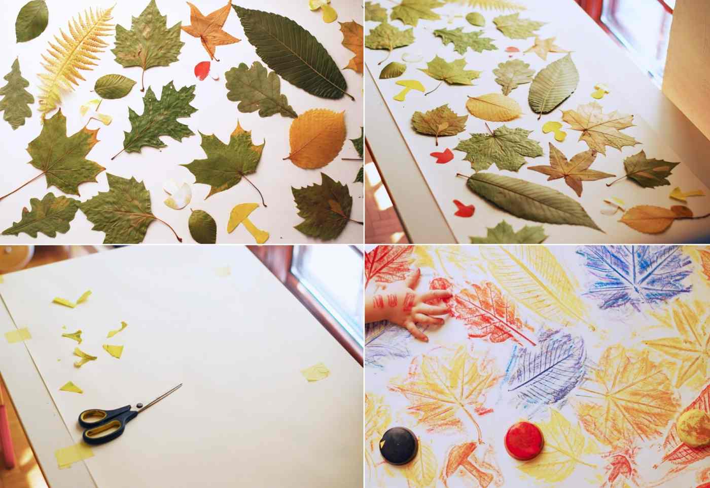Transfer leaves in various shapes on paper with wax pins