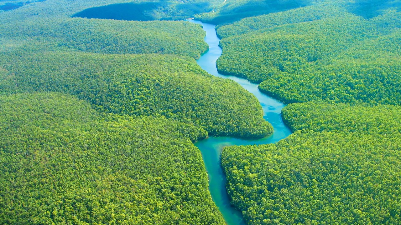 Sauerstoff In Der Luft Deshalb Ist Die These Zu Amazonas Branden Falsch