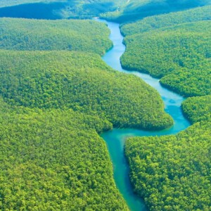 Der Amazonas Fluss und Regenwald besitzen eigene Ökosysteme und einzigartige Pflanzen und Tiere