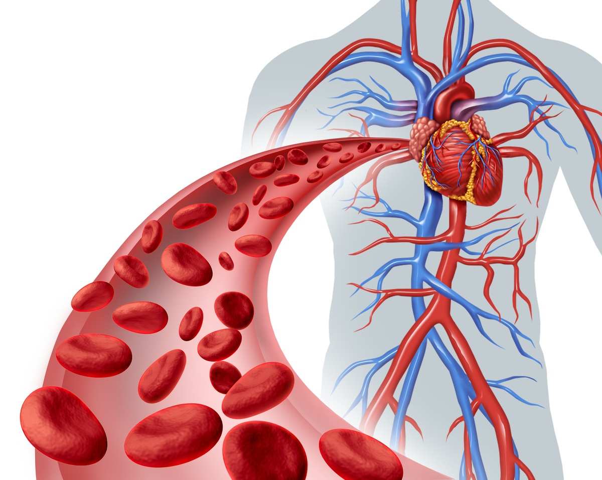 Die Blutwerte der Blutsenkungsgeschwindigkeit steigen bei Entzündungen, Rheuma und Blutvergiftung