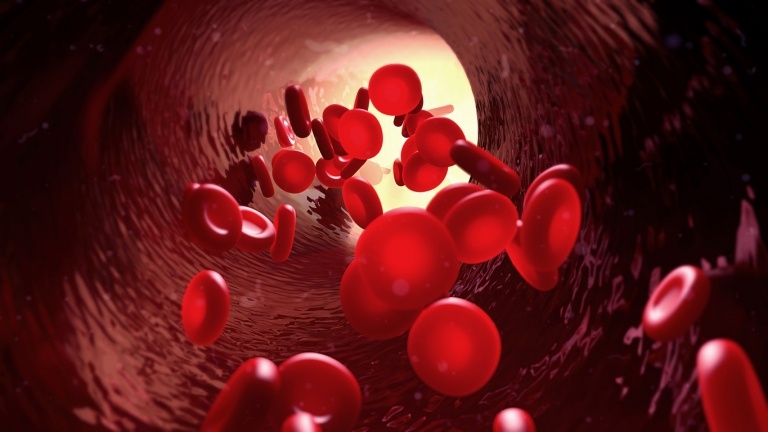 Die Blutwerte für rote Blutkörperchen ist bei Männern und Frauen unterschiedlich