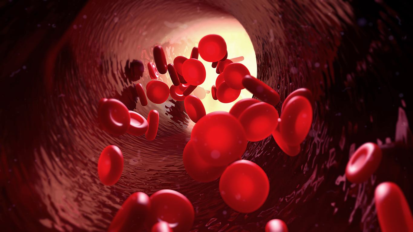 The blood values ​​for red blood cells are different for men and women