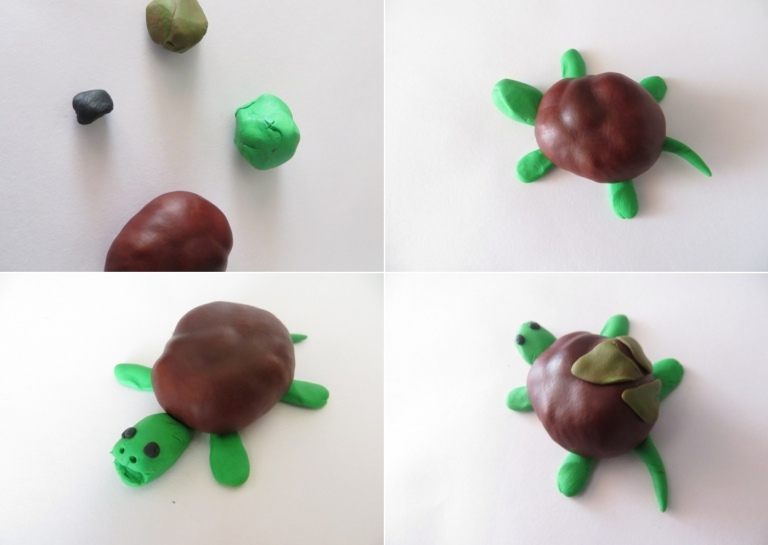 Einfache Bastelanleitung für die Schildkröte für Kinder