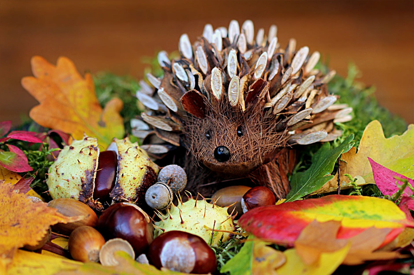 Herbst Tischdekoration Ideen Igel selber basteln DIY