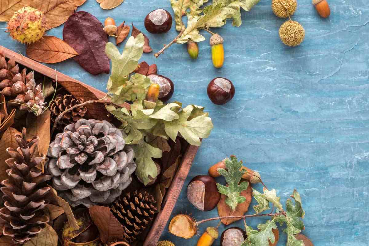 Autumn table decoration with zapping and acorn chestnut decoration
