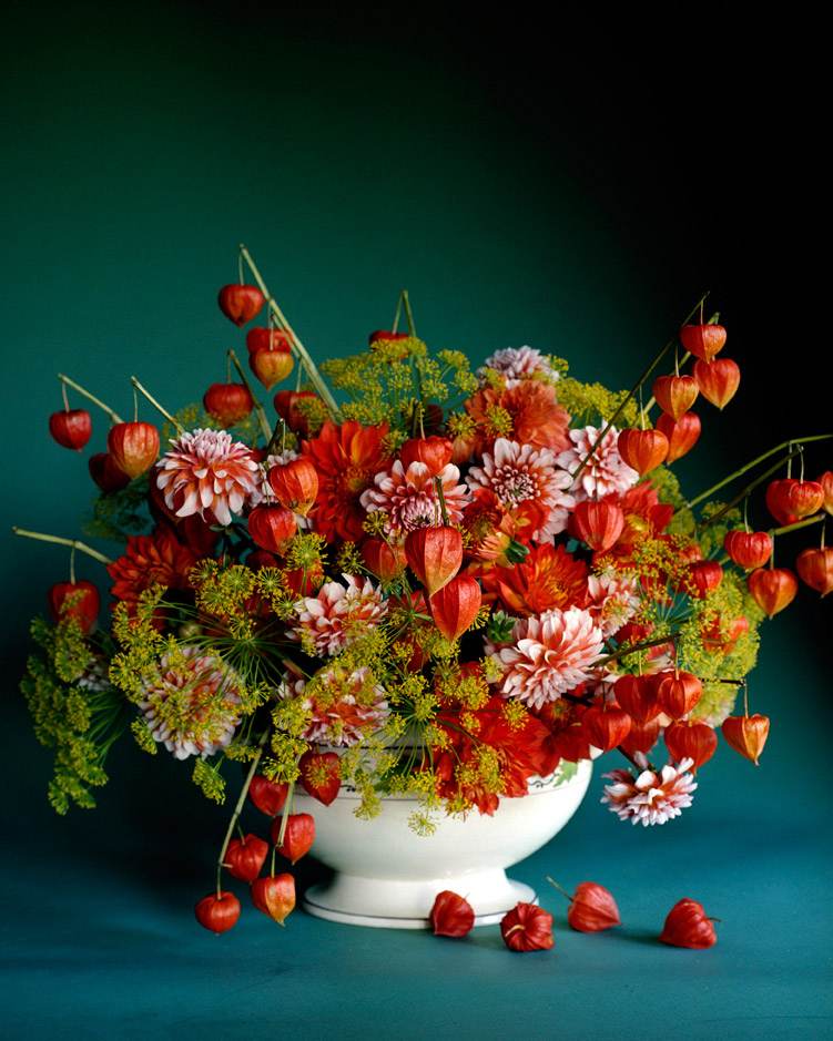 Herbstliche Tischdeko mit gestreiften Dahlien in Orange und Weiß und Lampionblumen und Dillblüten