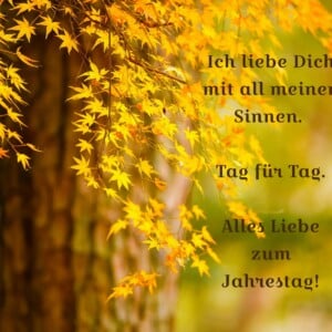 Hochzeitstag Sprüche für Ehemann - Ich liebe dich mit all meinen Sinnen, alles Gute zum Jahrestag