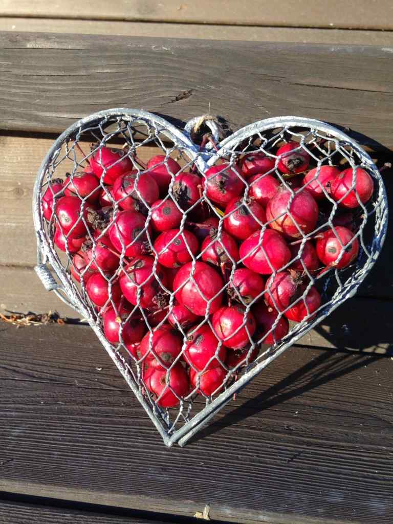Idee zum Basteln für Anfänger - Ein Herz aus Draht zum Füllen mit Früchten und Aufhängen