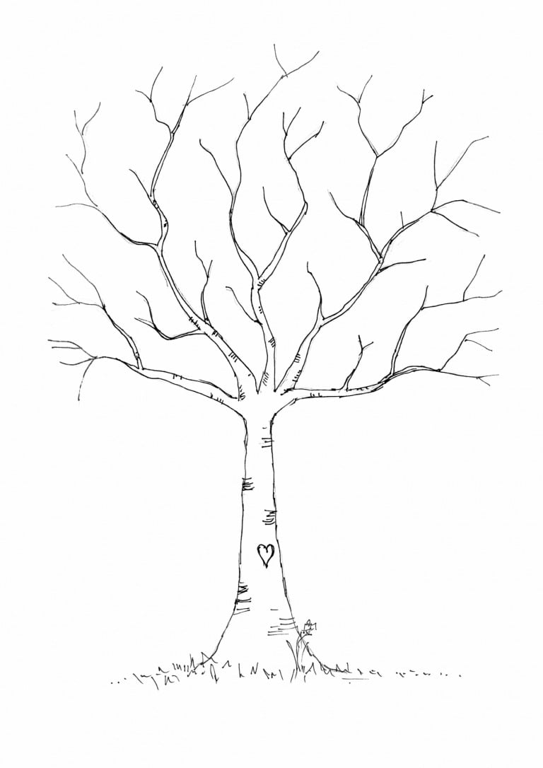 Kahler Baum zum Gestalten mit echten oder künstlichen Laubblättern