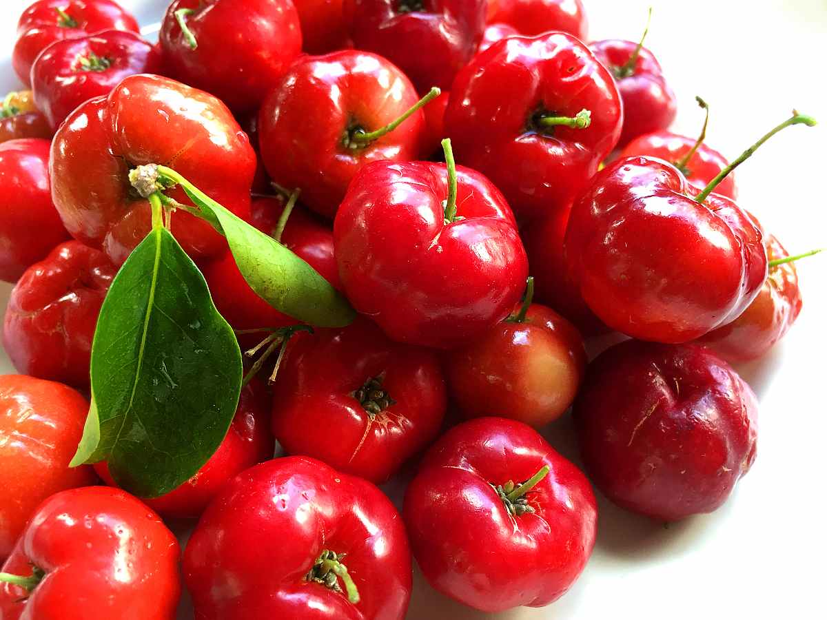 Low calorie fruit Acerola cherry which is the best fruit to take away