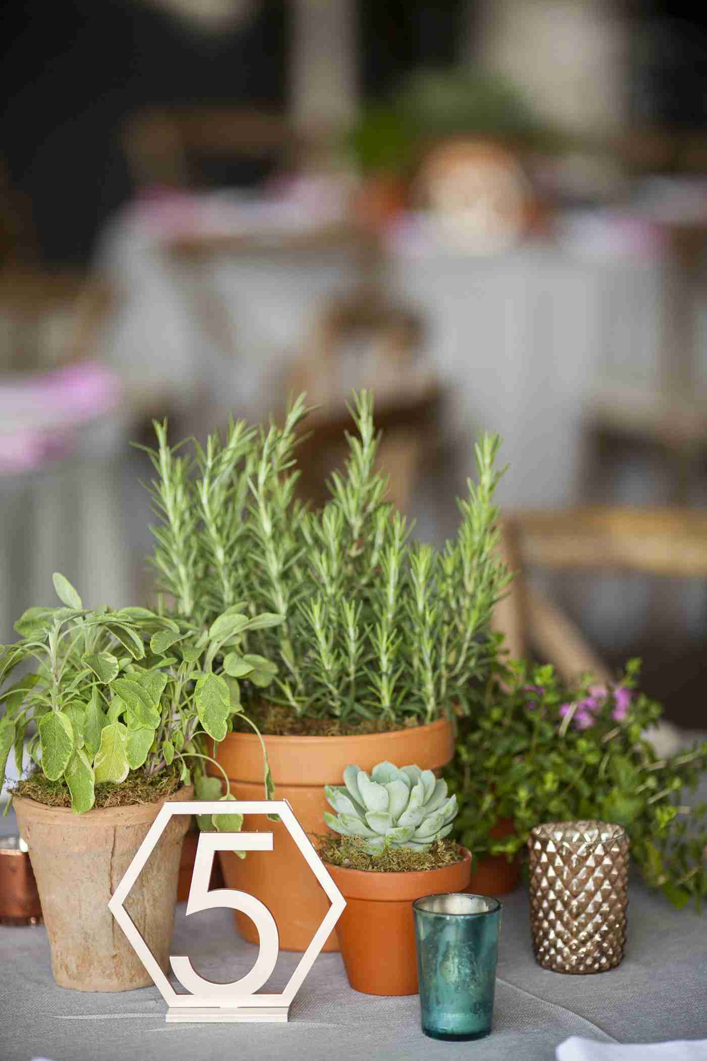Ideas wedding rustic country house style