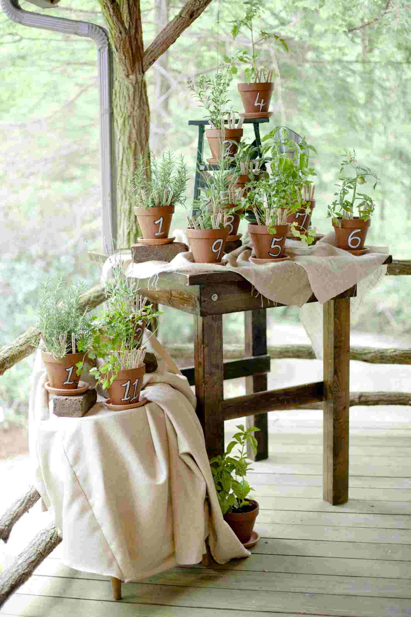 Herbs as Deko Wedding Blumentöpfe Table number