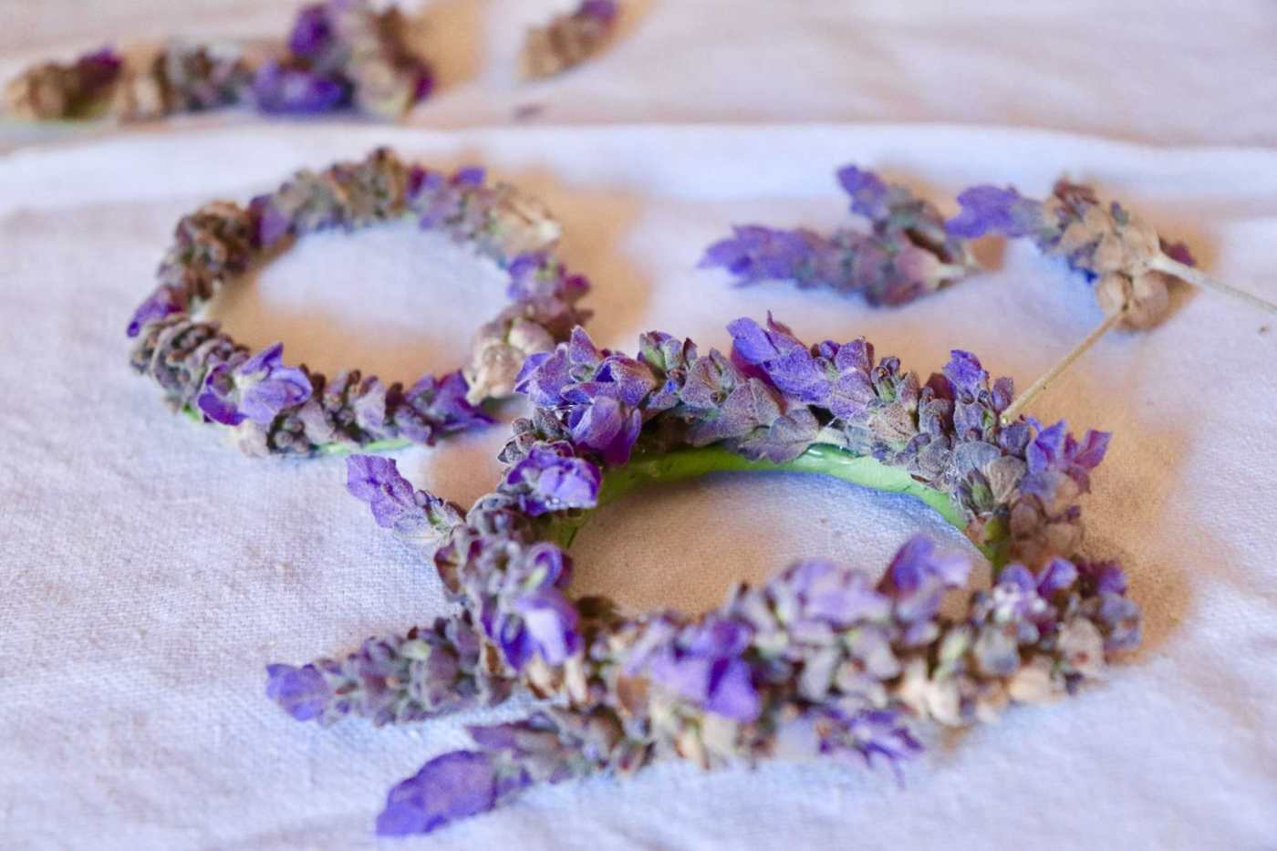 Lavender wreath binding guide step by step