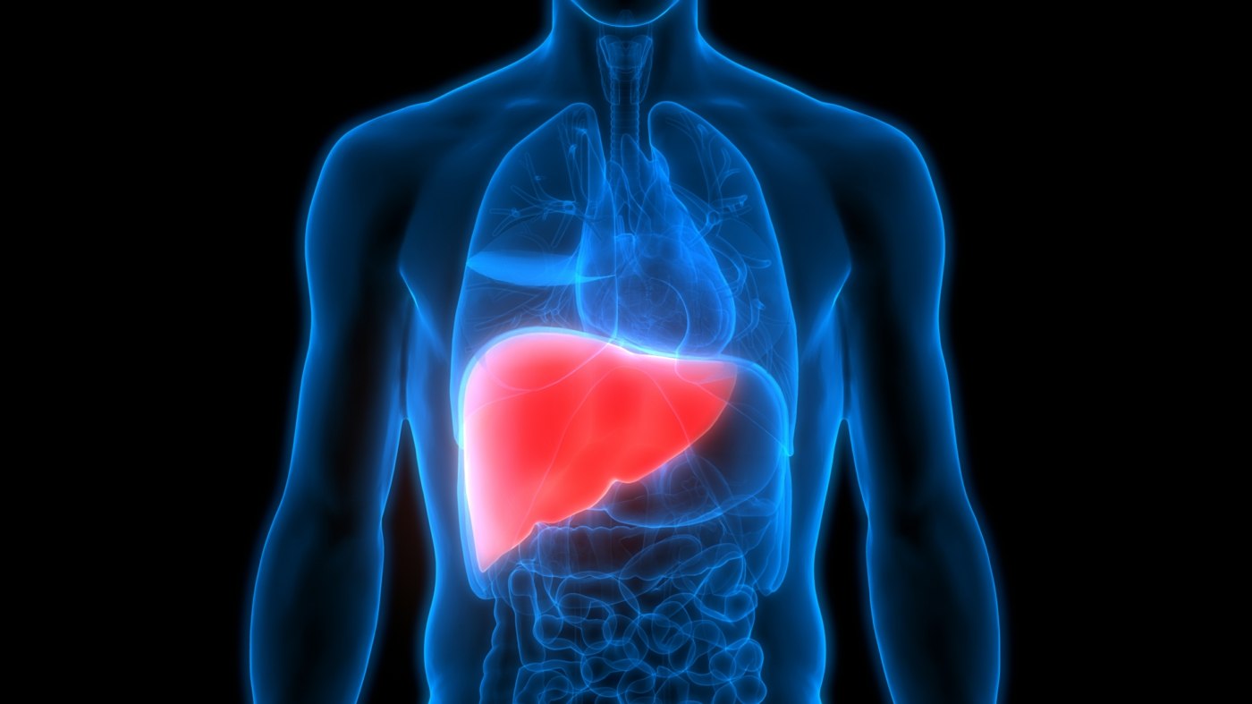 Liver values ​​in blood picture were checked if damage to the liver or suspicion was suspected