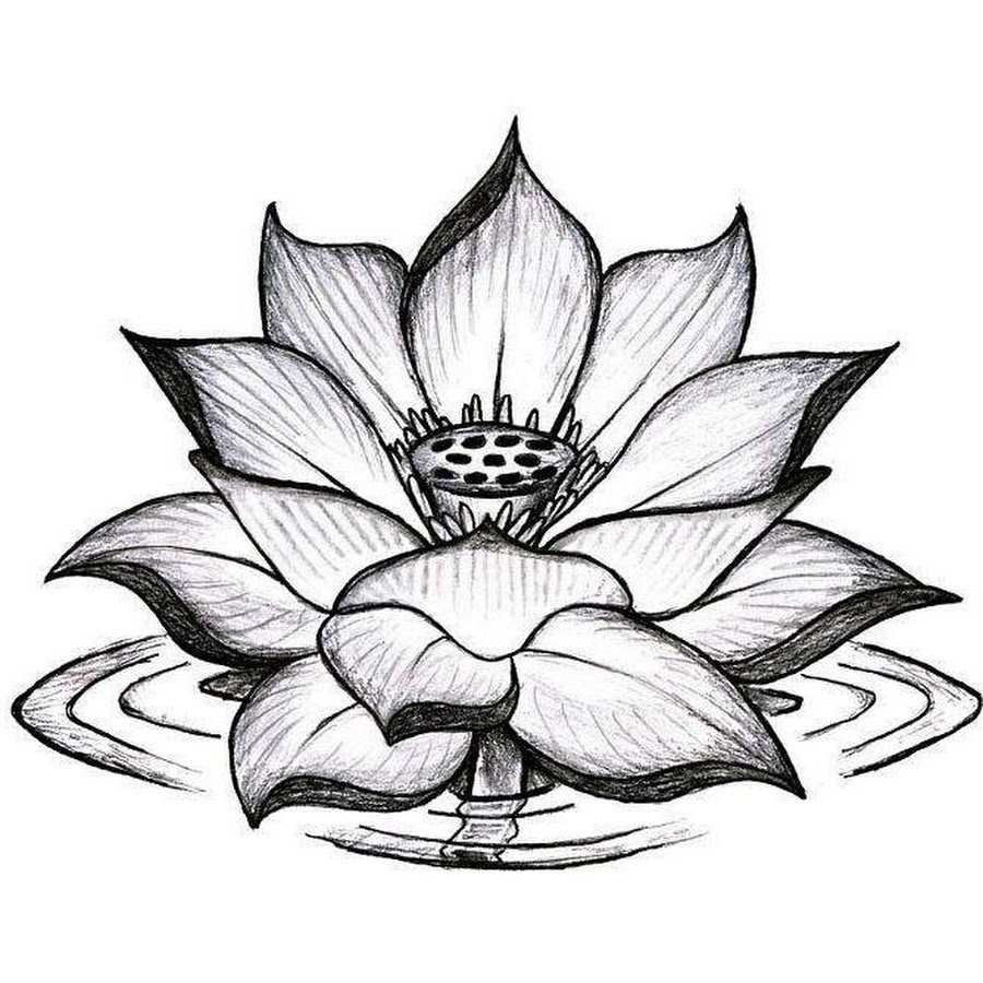 Lotus Mandala Tattoodesign Vorlagen Brust Tattoo für Frauen