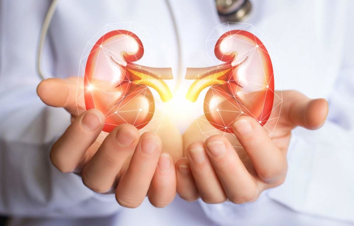 Examine kidneys and urea and creatinine with a blood test