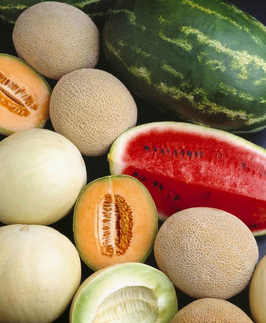 Obst mit wenig Zucker Wassermelone Kalorien 100 Gramm welche Früchte bei Diät