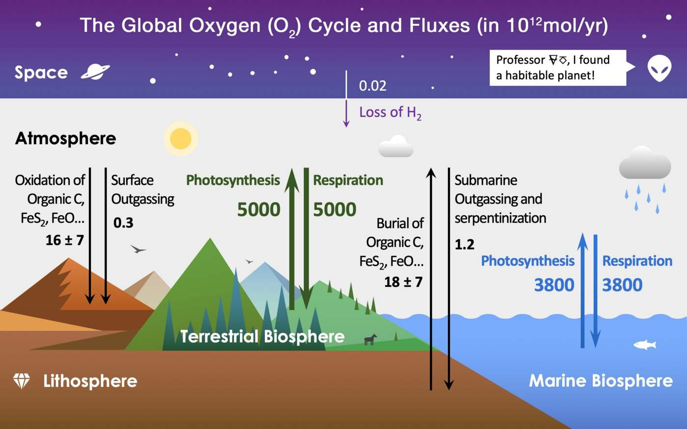 Oxygen in the air is mainly from the oceans and not many are missing from the forests