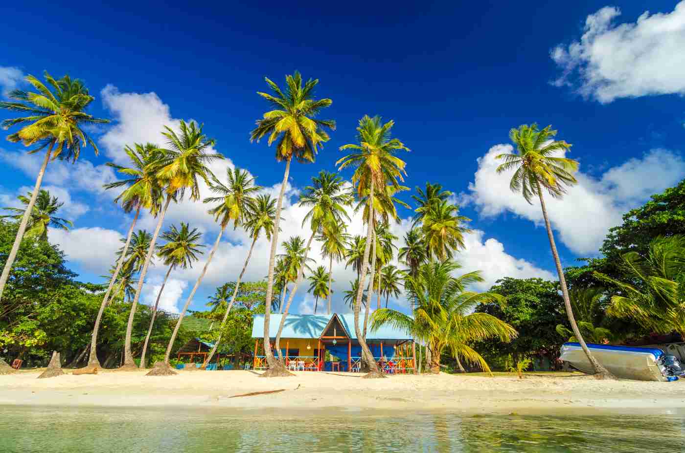 Christmas and New Year abroad celebrate ideas for exotic locations in the Caribbean