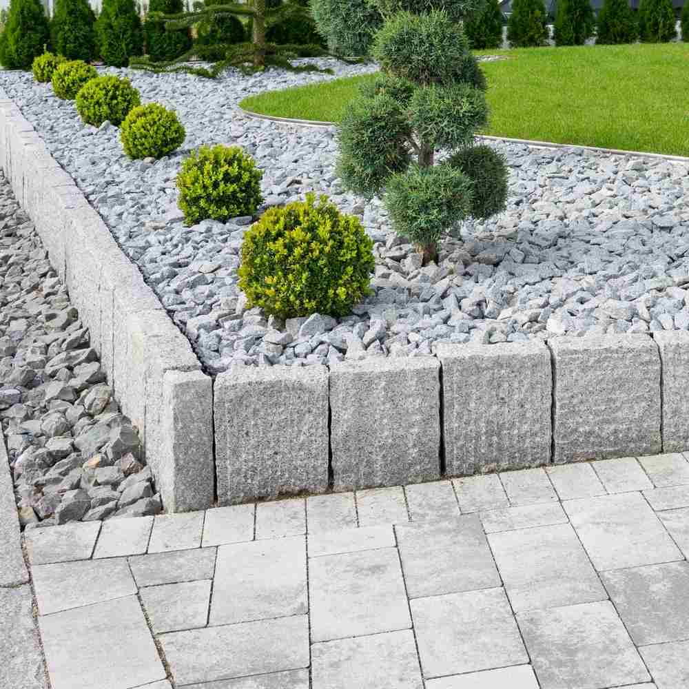 garden design ideas with concrete surround and tree plants as hanging with concrete