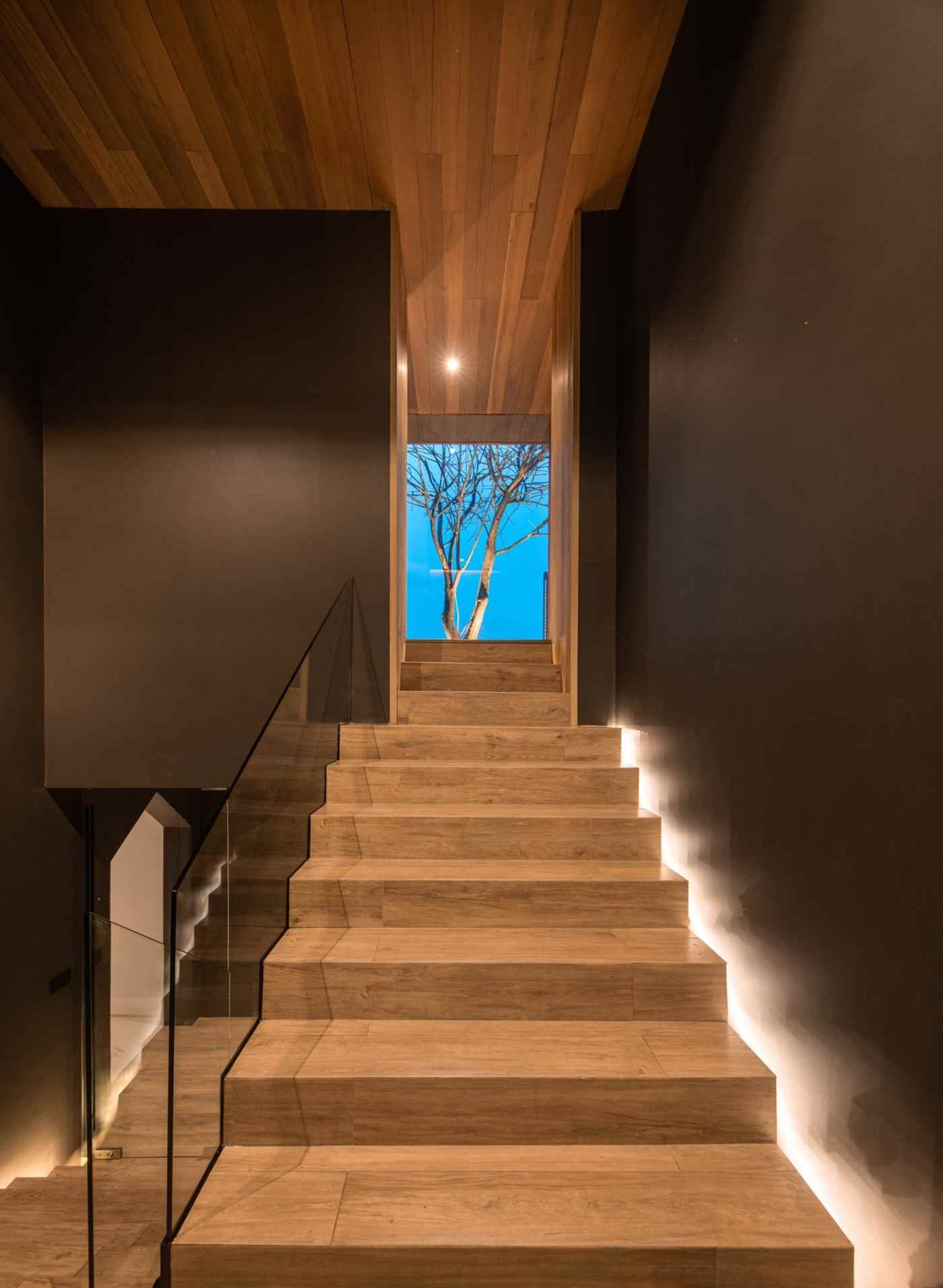 still upstairs leading illuminated wooden stairs with fall protection from glass