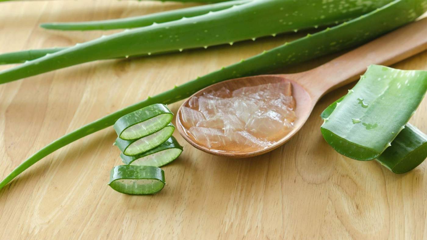 Aloe Vera Gel cools the wounds, relieves the swelling and disinfects