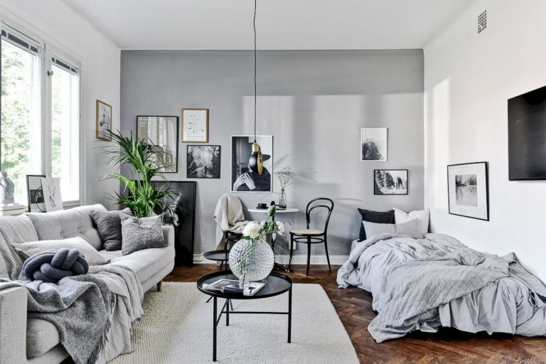Bett und Sofa in Einzimmerwohnung graue Wandfarbe Parkett Altbau