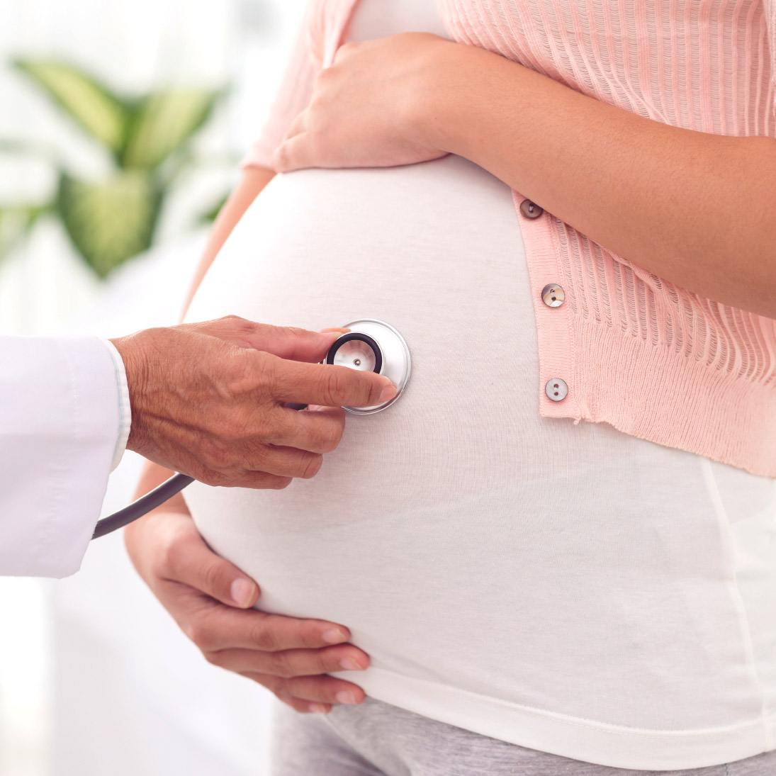 Husten in der Schwangerschaft ist nicht gefährlich, muss aber anders therapiert werden