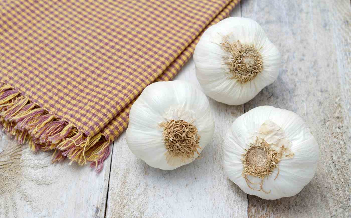 Garlic acts antiviral, inhibits virus reproduction and strengthens the immune system