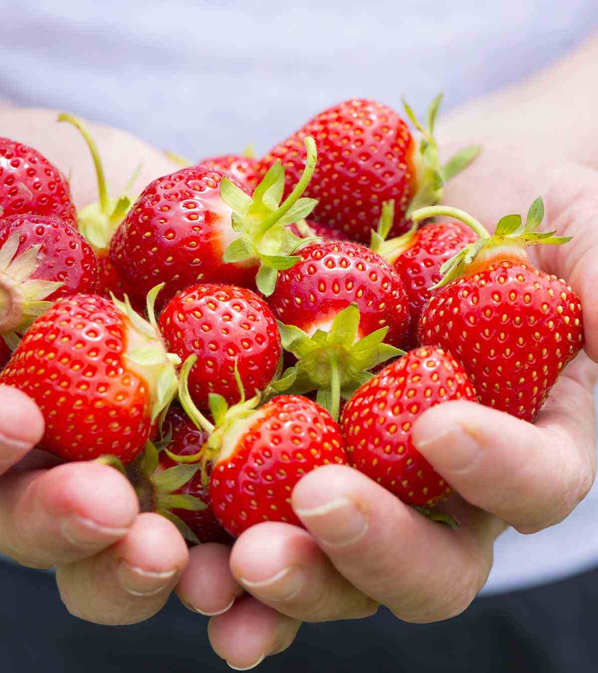 Low Carb Obst Erdbeeren Nährwerte gesund abnehmen