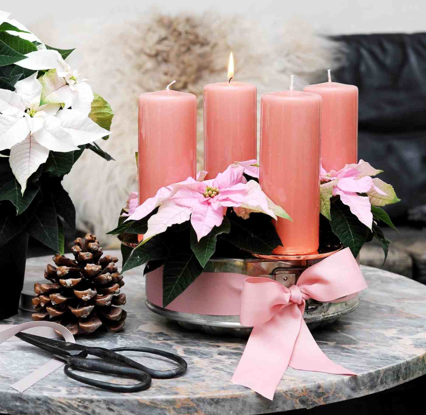 Weihnachtsgesteck mit rosa Weihnachtsstern Blume und rosa Kerzen dekorieren