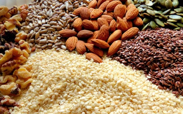Nüsse und Samen sind ballaststoffreich, aber auch fettig und sollten in Maßen gegessen werden