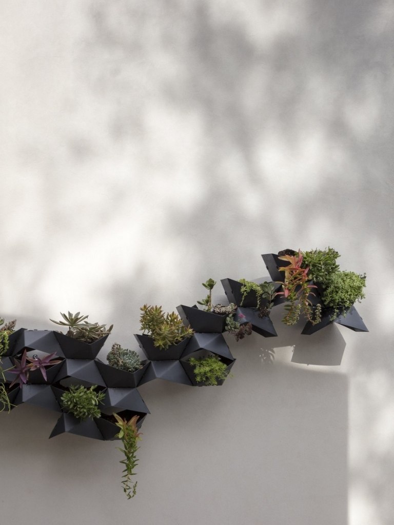 Pflanzkübel an der Außenwand bringen Abwechslung moderner Hängegarten mit einheimischen Sukkulenten und Pflanzen