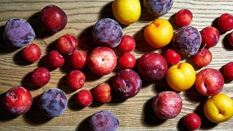 Pflaumen, Pfirsiche, und Mirabellen sind keine Schonkost und ungeeignet für empfindliche Mägen