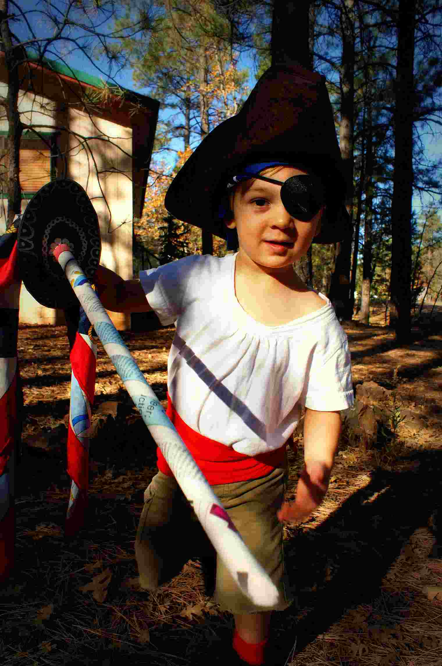 Pirate costume for kids just make carnival costume for kids