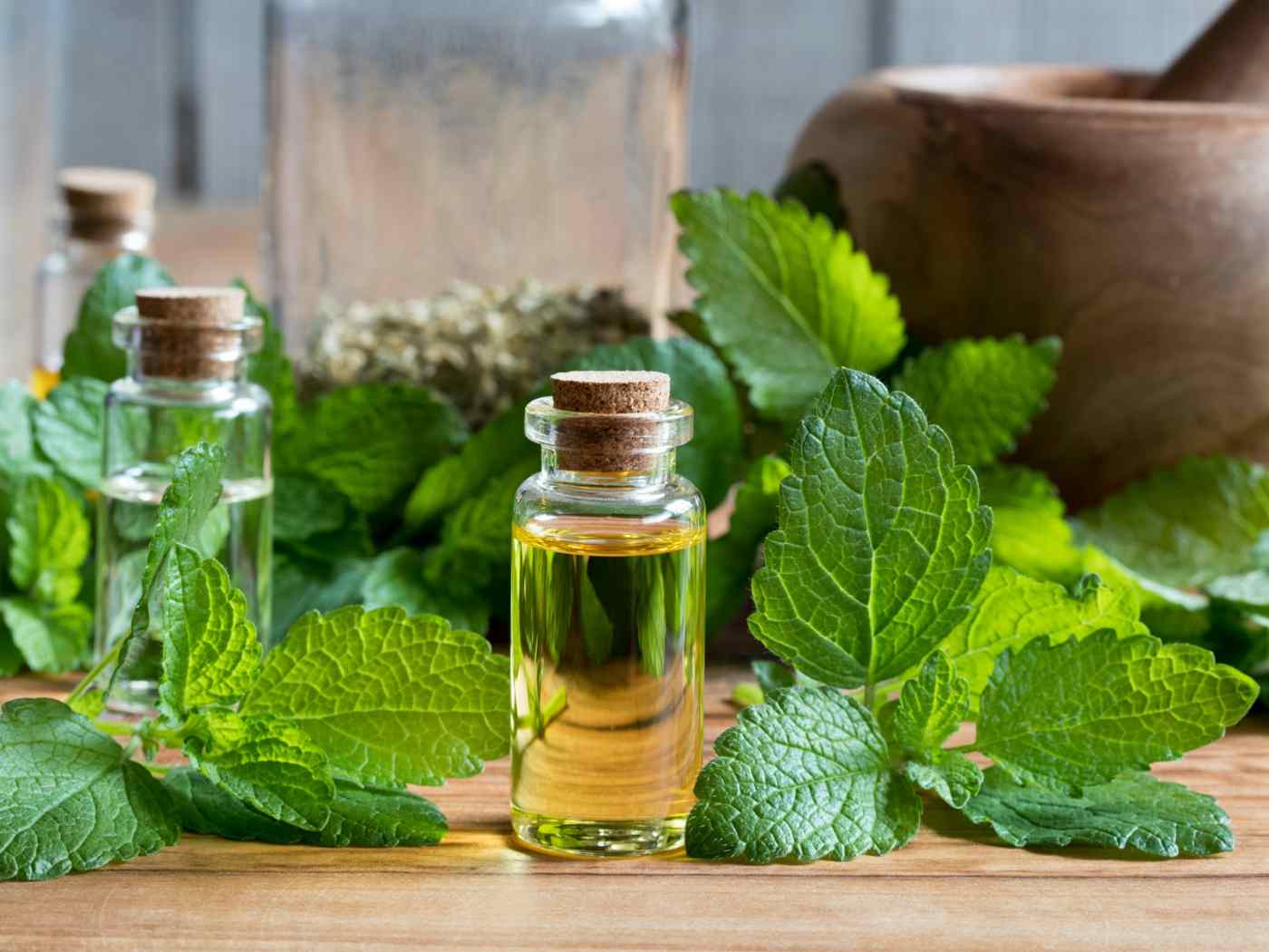 Lemon balm in the form of oil is easily absorbed and a strong helper against lip herpes